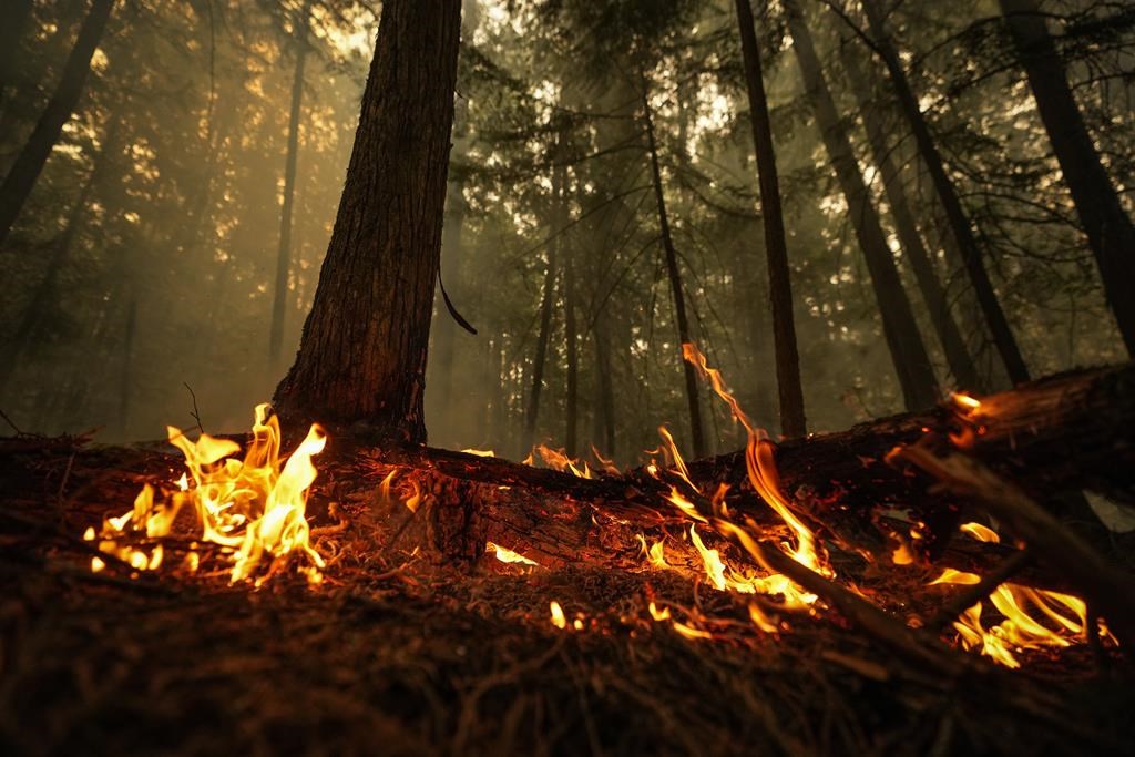 Wildfire conditions high across Manitoba