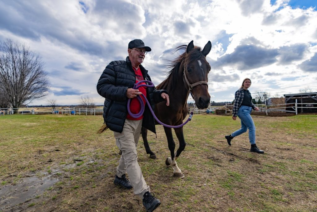 Canadian Army veterans traumatized from service connect with horses in therapy