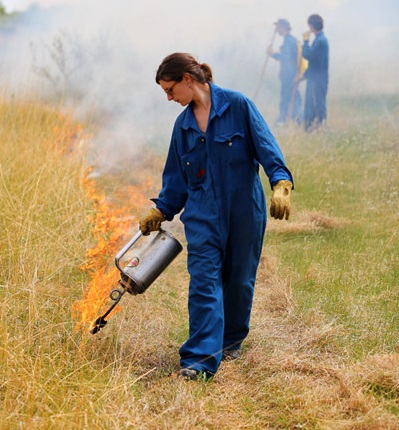 Winnipeg to begin controlled burn program on Oct. 30