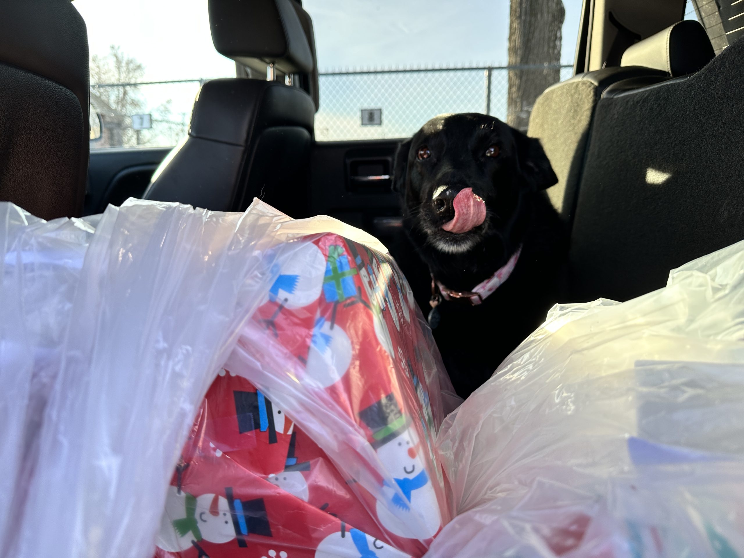 Winnipeg holiday hamper drive amid food insecurity CityNews Winnipeg