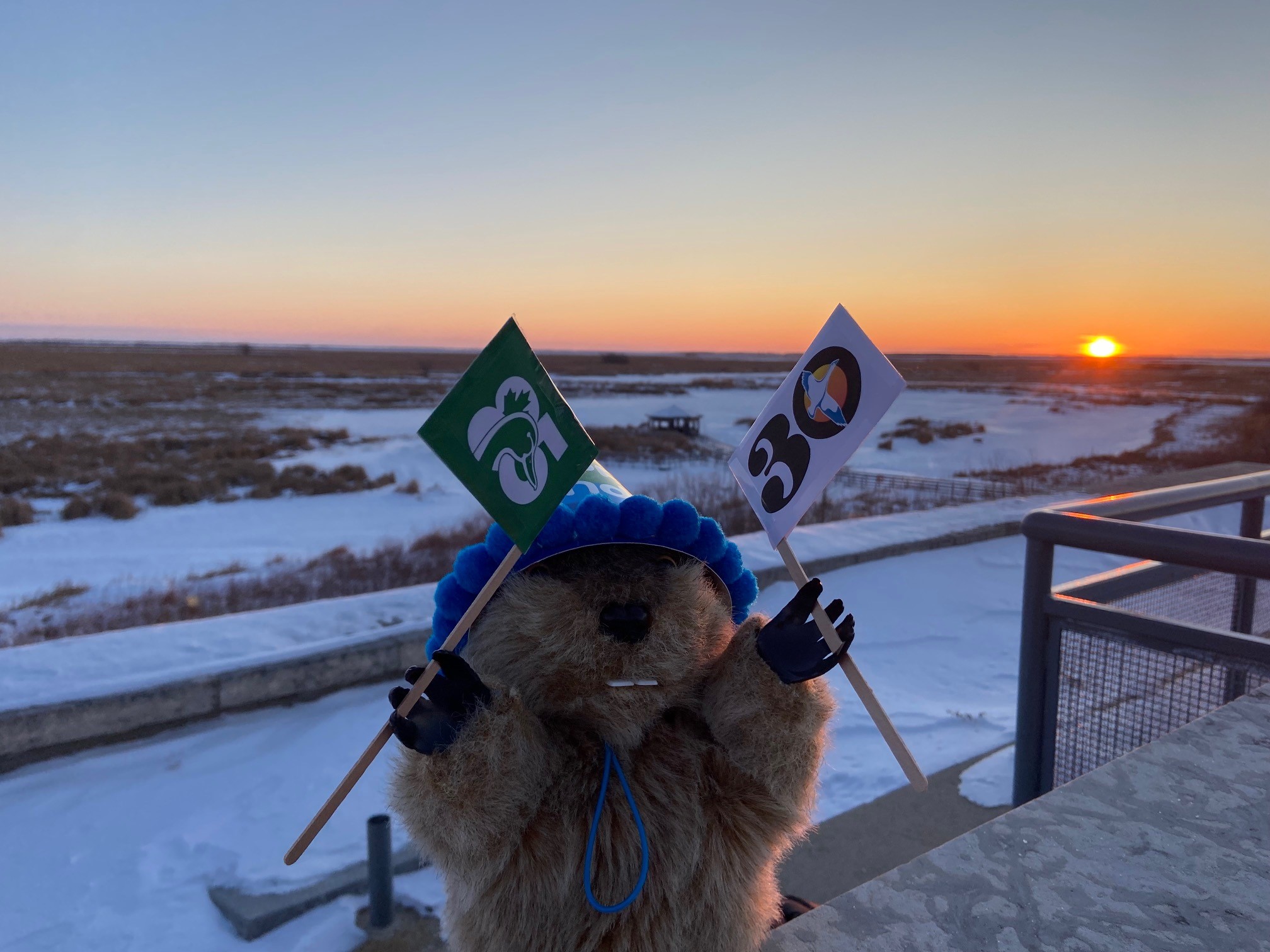 Manitoba Merv predicts 6 more weeks of winter, but mascot more than