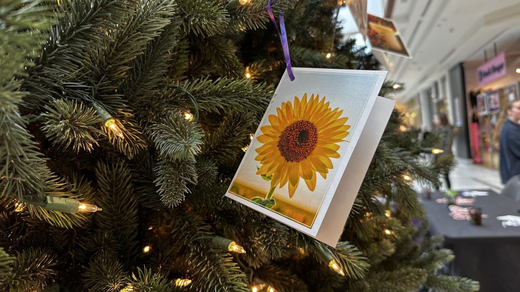 Memory Tree returns to help Manitobans in mourning during holidays