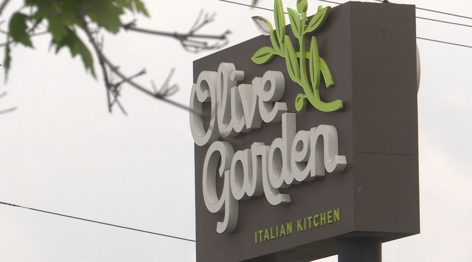 Winnipeg Olive Garden Stabbing CityNews Winnipeg   OG1 