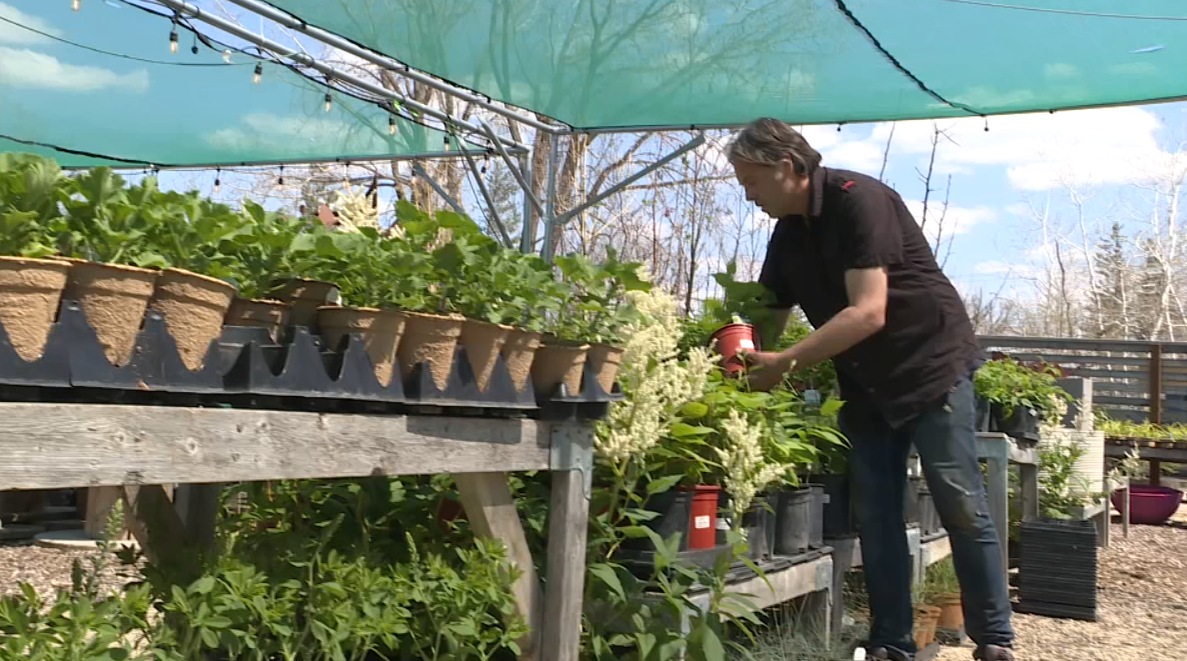 Winnipeg greenhouse closes on busy weekend, citing discourteous customers