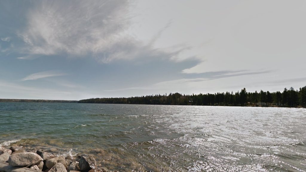 More zebra mussels found in Clear Lake: Parks Canada