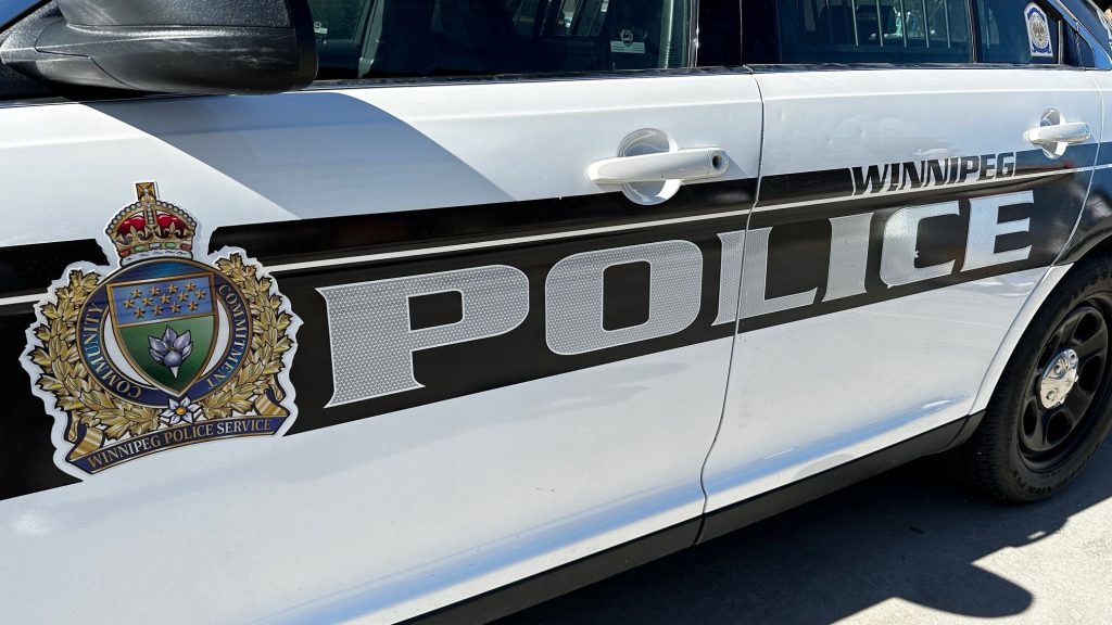 15-year-old crashes stolen car: Winnipeg police