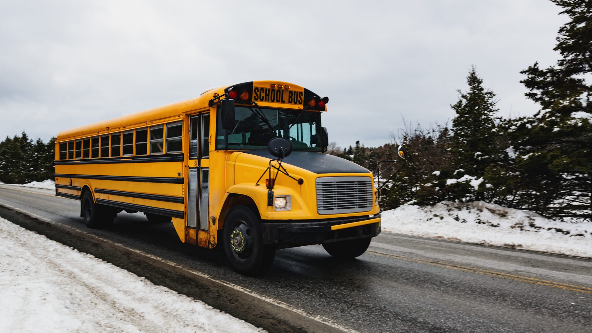 Buses cancelled for Winnipeg school divisions1919 x 1079