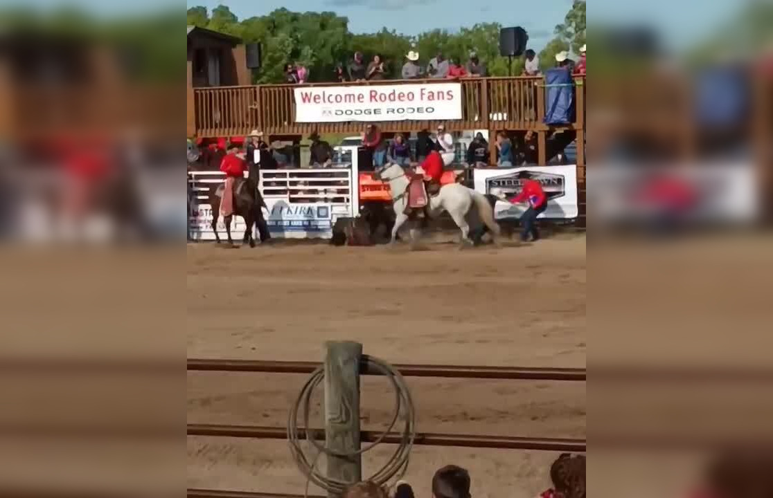 Horse dies during Selkirk Rodeo CityNews Winnipeg