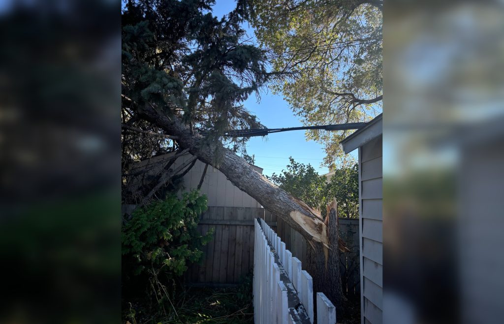 Parts of Manitoba remain without power following massive wind storm